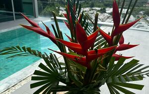Khao Yamu Ocean View Villa - Phuket, Thailand