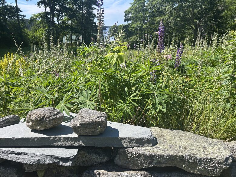 Refined Island Escape Minutes from Boothbay Harbor - Boothbay, Maine