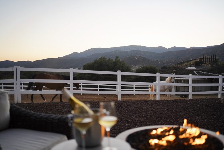 Tuscan Vineyard Villa with Private Pool & Equestrian Estate - Murrieta, California