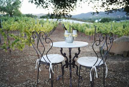 Tuscan Vineyard Villa with Private Pool & Equestrian Estate - Murrieta, California