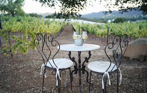 Tuscan Vineyard Villa with Private Pool & Equestrian Estate - Murrieta, California