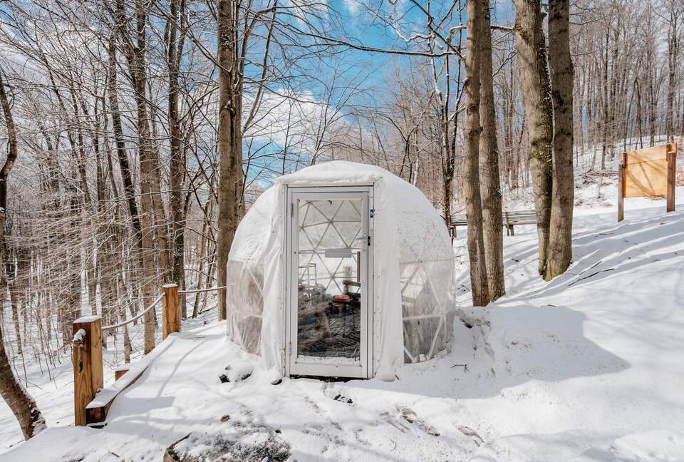 Social Chalet at Schuss Mountain - Mancelona, Michigan