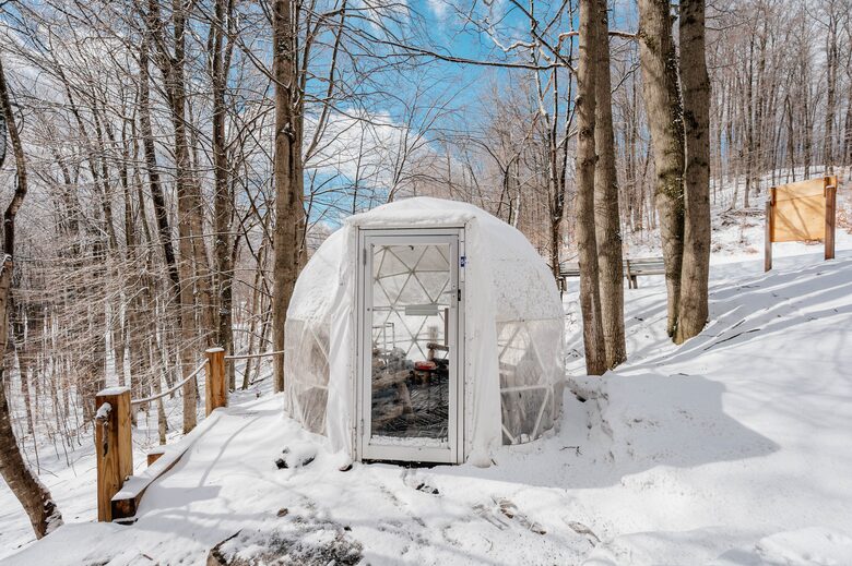 Social Chalet at Schuss Mountain - Mancelona, Michigan