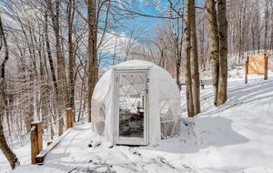 Social Chalet at Schuss Mountain - Mancelona, Michigan