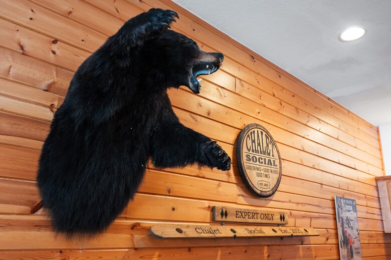 Social Chalet at Schuss Mountain - Mancelona, Michigan