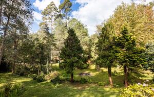 A Mountain Garden Retreat for Nature-Loving Families - Campos do Jordão, Brazil