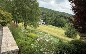 Hot Springs Meadow Retreat - Hot Springs, Virginia