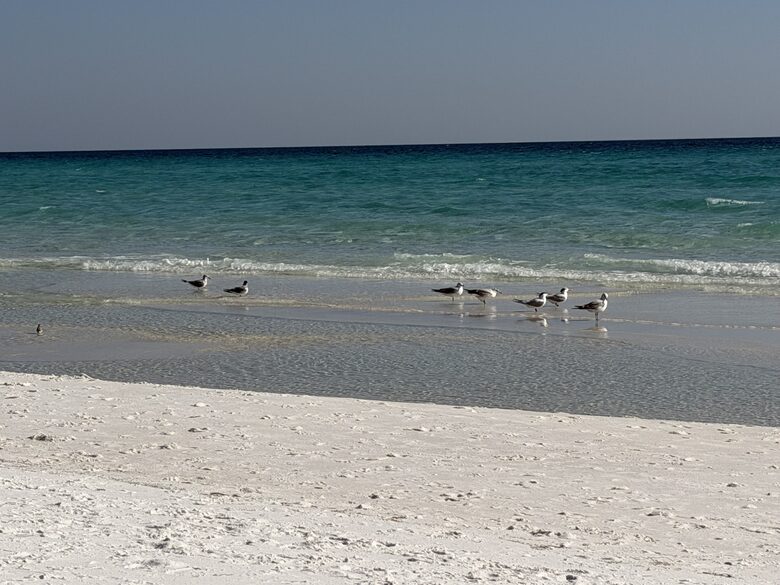 Peaceful West 30A Pool Retreat - Santa Rosa Beach, Florida
