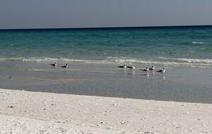 Peaceful West 30A Pool Retreat - Santa Rosa Beach, Florida
