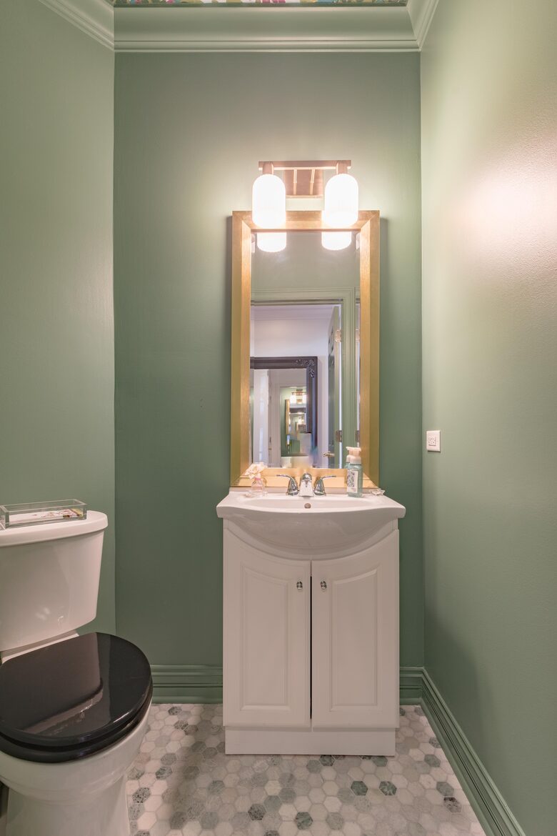 Elegant Townhouse in Historic Western Springs - Western Springs, Illinois
