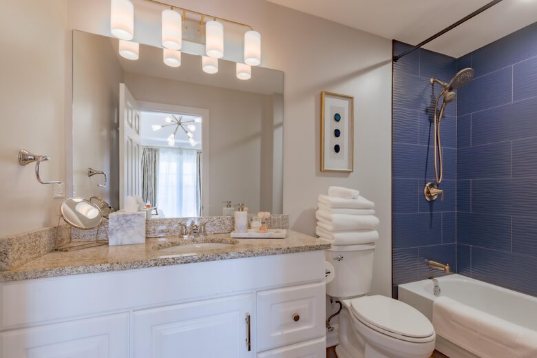 Elegant Townhouse in Historic Western Springs - Western Springs, Illinois