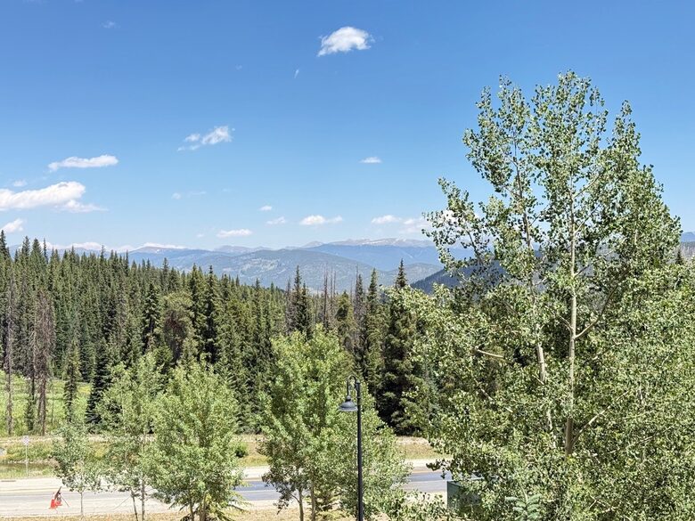 Peak 8 Ski-In/Ski-Out Condo with Resort Amenities - Breckenridge, Colorado