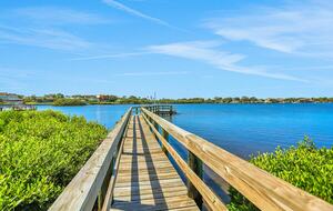 Driftwood Dreams Waterfront Retreat with Pool and Game Room - Palm Harbor, Florida