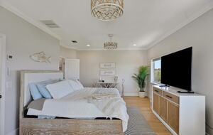 Driftwood Dreams Waterfront Retreat with Pool and Game Room - Palm Harbor, Florida