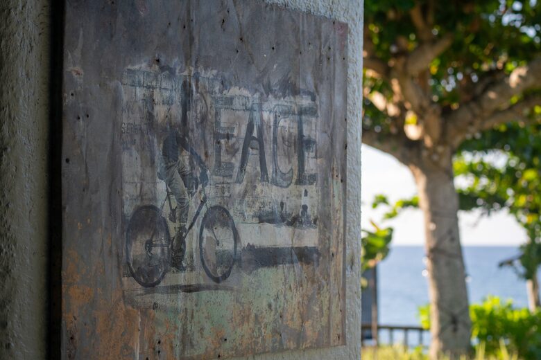 Luxurious Ocean Front Villa - Brown Shuggah (Ocho Rios) - Llandovery Estate, Jamaica