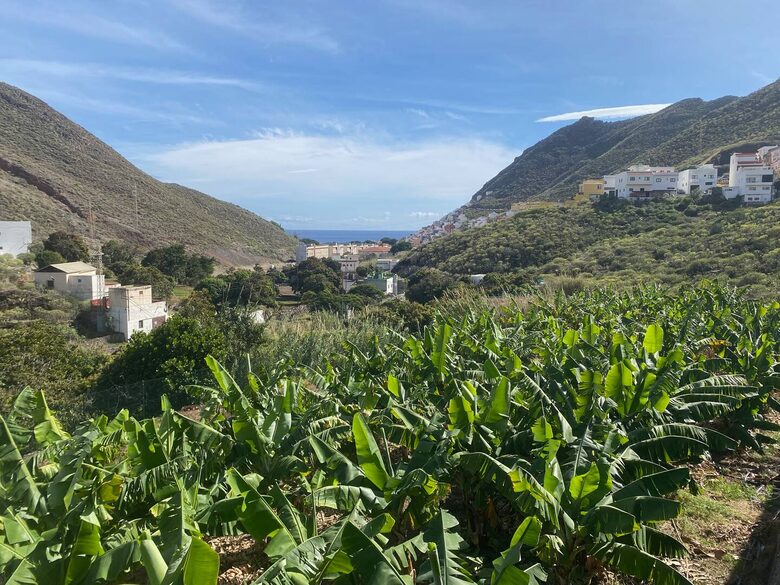 Tenerife Terrace Farm Hideaway - Santa Cruz de Tenerife, Spain