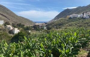 Tenerife Terrace Farm Hideaway - Santa Cruz de Tenerife, Spain