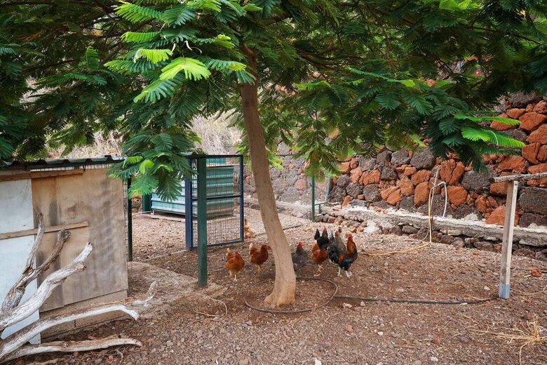 Tenerife Terrace Farm Hideaway - Santa Cruz de Tenerife, Spain