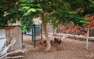 Tenerife Terrace Farm Hideaway - Santa Cruz de Tenerife, Spain