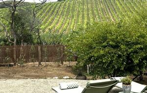 Waiheke Vineyard Cottage with Cedar Hot Tub - Waiheke Island, New Zealand