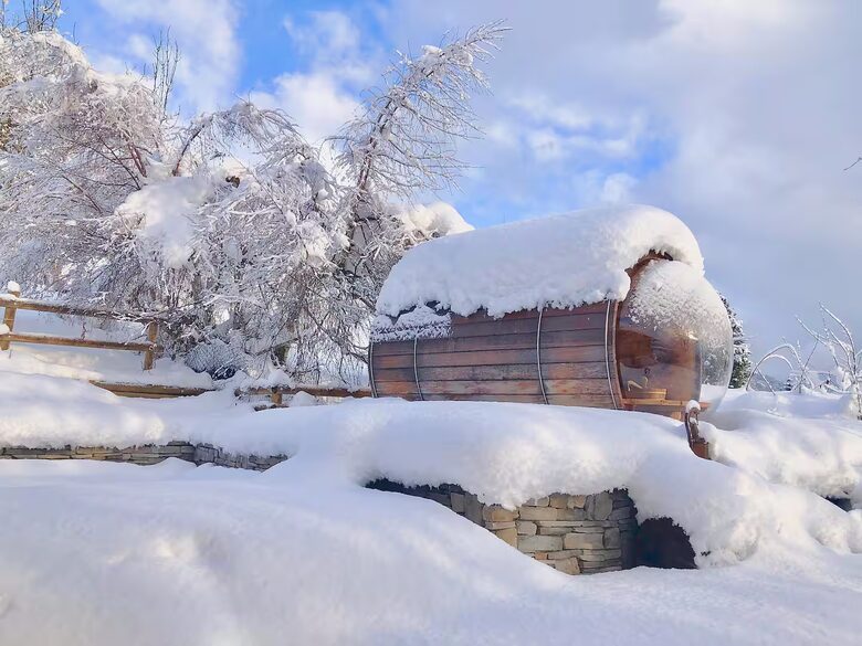 Chalet Les Cerises - Cordon, France