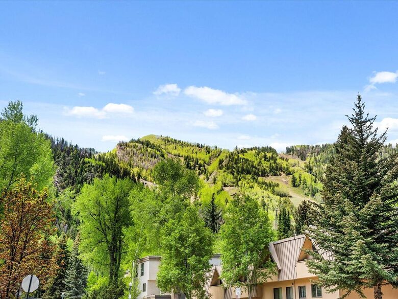 Contemporary Aspen Retreat Near Silver Queen Gondola - Aspen, Colorado