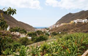Tenerife Terrace Farm Hideaway - Santa Cruz de Tenerife, Spain