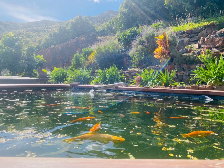 Tenerife Terrace Farm Hideaway - Santa Cruz de Tenerife, Spain