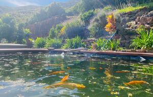 Tenerife Terrace Farm Hideaway - Santa Cruz de Tenerife, Spain