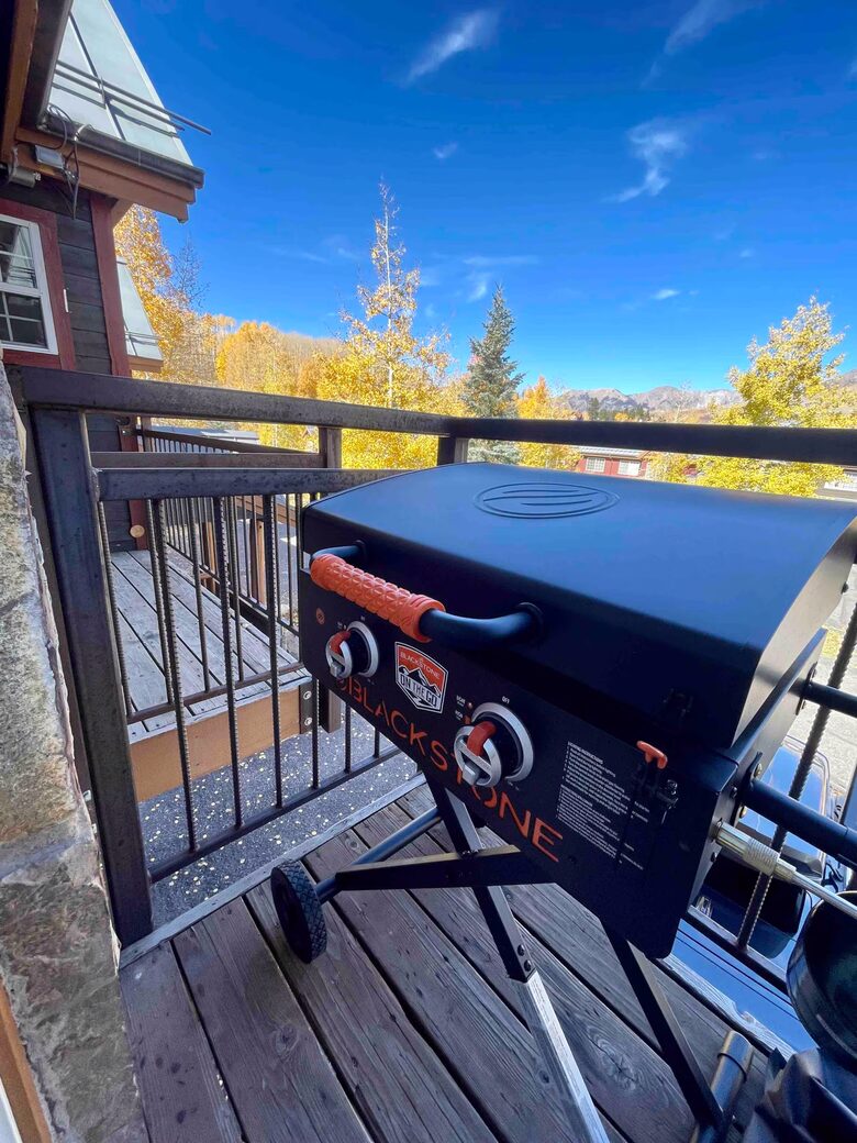 Luxury Mountain Village Escape Near the Chondola - Mountain Village, Colorado