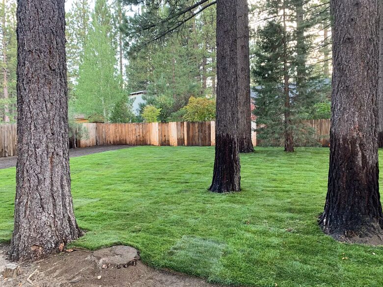South Lake Tahoe Escape Near Trails, Beaches & Skiing - South Lake Tahoe, California