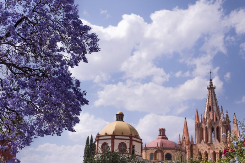Casa Musa in San Miguel Centro - San Miguel de Allende, Mexico
