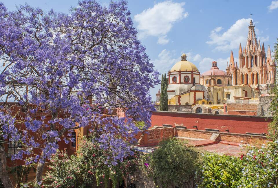 Casa Musa in San Miguel Centro - San Miguel de Allende, Mexico