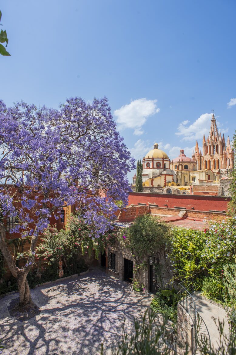 Casa Musa in San Miguel Centro - San Miguel de Allende, Mexico