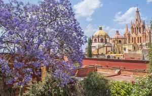 Casa Musa in San Miguel Centro - San Miguel de Allende, Mexico