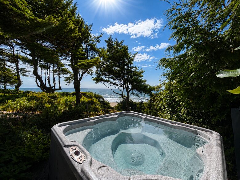 Cliffside Elegance on the Pacific - Pacific Beach, Washington
