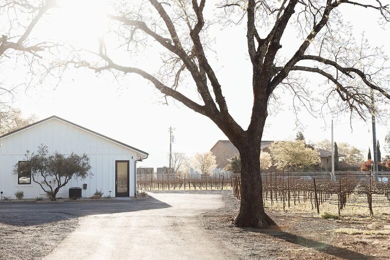 Vineyard Retreat with Mount St. Helena Views - Calistoga, California