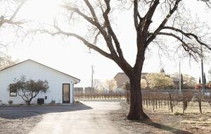 Vineyard Retreat with Mount St. Helena Views - Calistoga, California