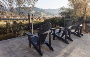 Vineyard Retreat with Mount St. Helena Views - Calistoga, California