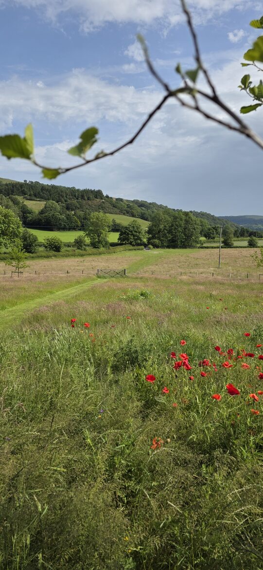 Couple's Luxury Retreat in North Walian Valley - Conwy, United Kingdom