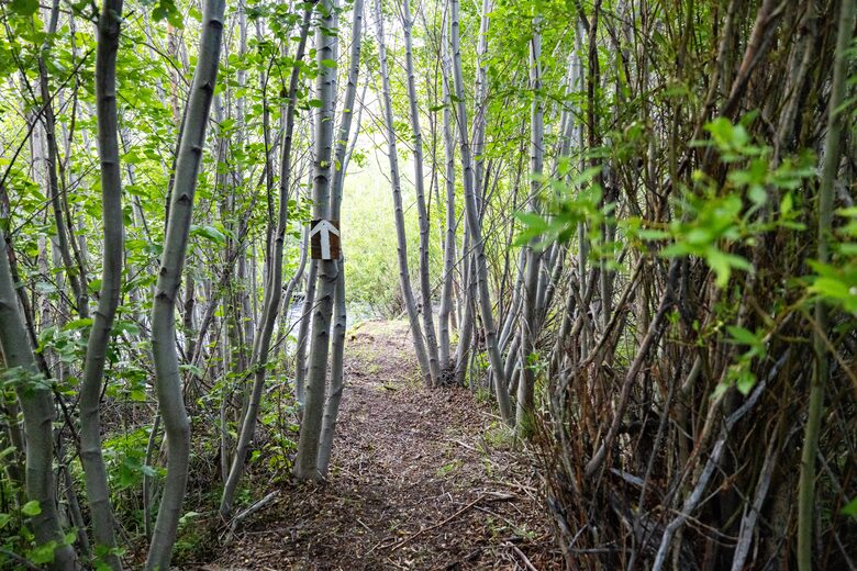 บ้านไม้ Mill Creek บนพื้นที่ส่วนตัว 80 เอเคอร์ - Anaconda, Montana