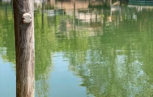 Lake Norman Cabin with Dock and Diving Board - Mooresville, North Carolina