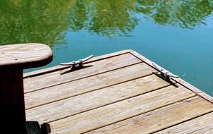 Lake Norman Cabin with Dock and Diving Board - Mooresville, North Carolina