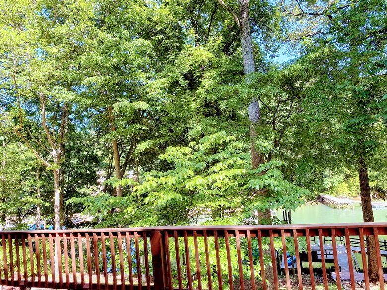 Lake Norman Cabin with Dock and Diving Board - Mooresville, North Carolina