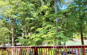 Lake Norman Cabin with Dock and Diving Board - Mooresville, North Carolina