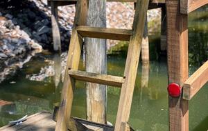 Lake Norman Cabin with Dock and Diving Board - Mooresville, North Carolina