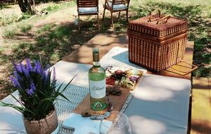 Country Olive Grove Bunkhouse and Bungalow - Fredericksburg, Texas