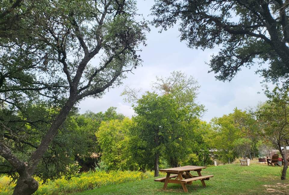 Country Olive Grove Bunkhouse and Bungalow - Fredericksburg, Texas