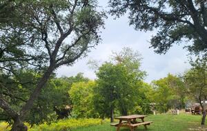Country Olive Grove Bunkhouse and Bungalow - Fredericksburg, Texas