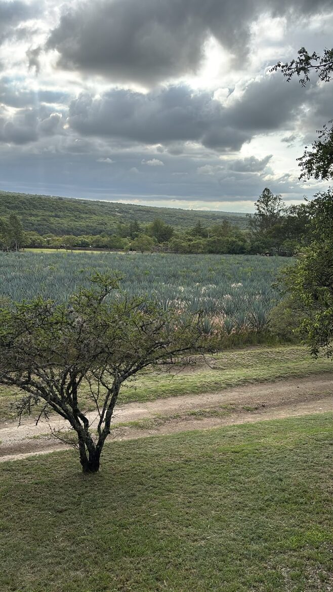 Rancho Colibrí | River-View Nature Estate Near Tequisquiapan & Peña de Bernal - San Juan del Río, Mexico
